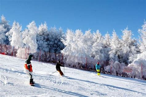 内蒙古冬季滑雪场滑雪18598750133高清摄影大图-千库网