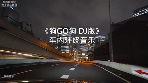 顶级《中文劲爆DJ舞曲5首串烧》动感的节奏超燃的dj，车载dj必备-bilibili(B站)无水印视频解析——YIUIOS易柚斯