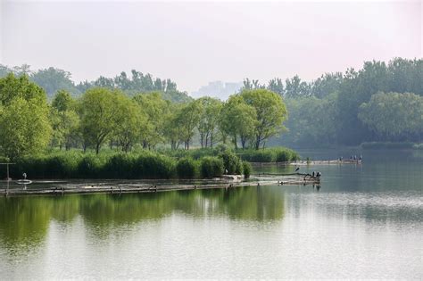 夏日奥森南园约十公顷湿地成“生命摇篮”，绿意盎然水鸟翩翩|湿地_新浪新闻