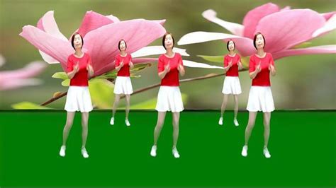 广场舞《黄玫瑰》中三舞步，经典流行舞曲，好听好看好学-_腾讯视频