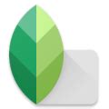 Snapseed电脑版官方正版2024最新版绿色免费下载安装