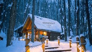 雪中温暖的木屋(风景动态壁纸) - 动态壁纸下载 - 元气壁纸