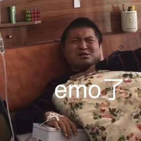 龙丽丽表情包图片