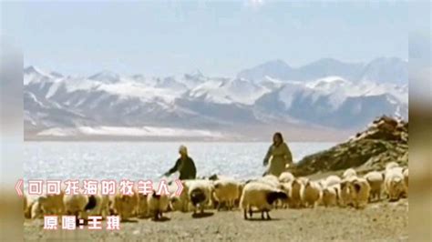 《可可托海的牧羊人》完整版，原唱:王琪_腾讯视频