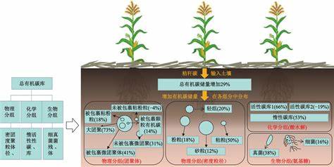 表层土壤与底层土壤的容重区别
