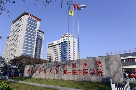 市六医院-武汉建工安装工程有限公司