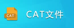 CAT文件怎么打开-CAT是什么格式-CAT文件是什么意思-腾牛网
