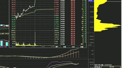 股票分时图红绿柱代表什么