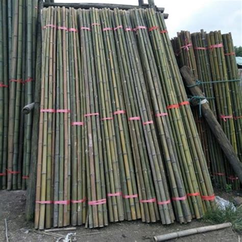 常年批发 农用竹竿 菜架竹 毛竹支撑搭架用竹梢-阿里巴巴
