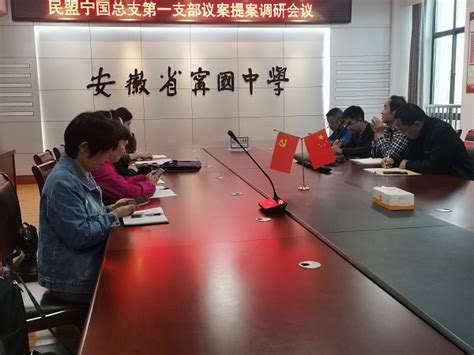 民盟宁国总支第一支部召开议案提案调研会-中国民主同盟宣城市委员会