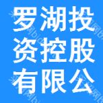 深圳市罗湖投资控股有限公司 - 启信宝