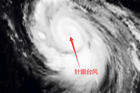 台风“梅花”今天登陆！今年首个台风红色预警发布|台风|浙江省_新浪新闻