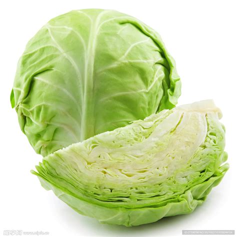 甘蓝菜图片