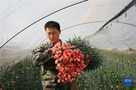 减少掉花和果实的方案 - 农牧世界