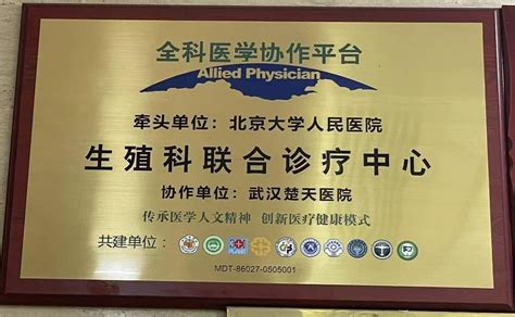 武汉市中心医院杨春湖院区 打造智慧医院新标杆 楚天都市报数字报