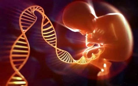 单基因遗传病的遗传方式-遗传病生育网