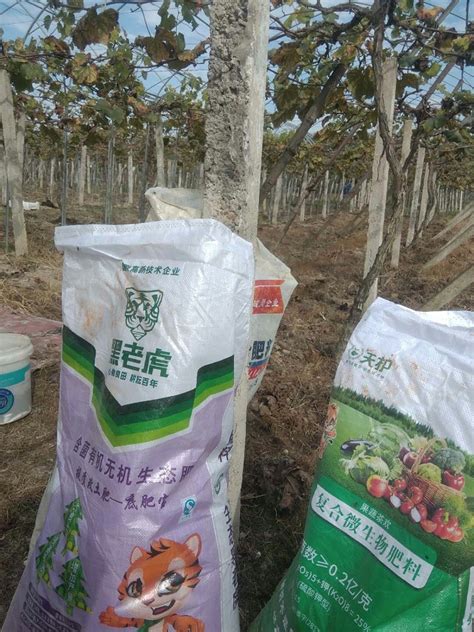 葡萄秋肥都用什么？葡萄秋肥用什么肥料好？