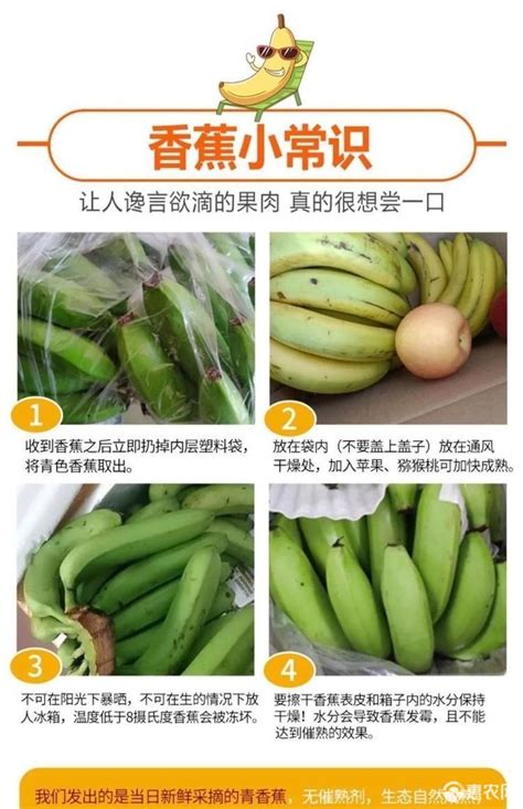[牛角蕉批发]【现摘】香蕉薄皮整箱高山芝麻蕉芭蕉果蕉应季新鲜水果价格8.9元/箱 - 惠农网