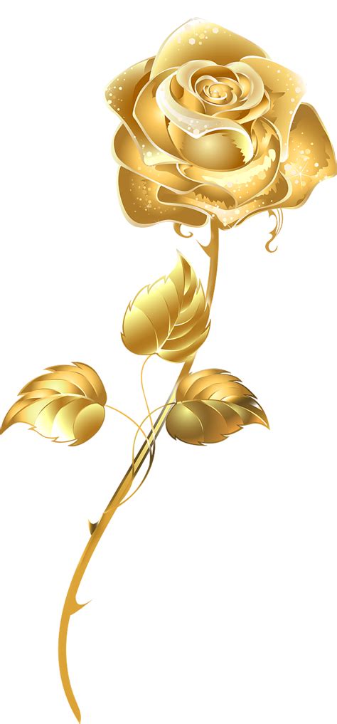 金色花---
