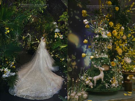 绿野仙踪 - 婚礼纪实 - 婚礼图片 - 婚礼风尚
