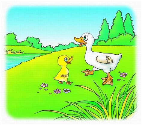 小鸭子学游泳的故事读后感_知秀网