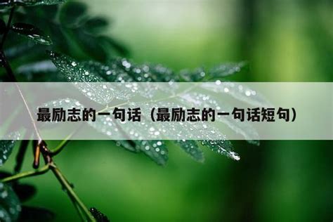一句话一张图图片