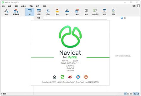 Navicat for MySQL 15免费版下载_Navicat for MySQL 15中文版下载15.0.25 - 系统之家