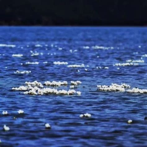 泸沽湖除了美，还有“水性杨花”-高清图集-中国天气网