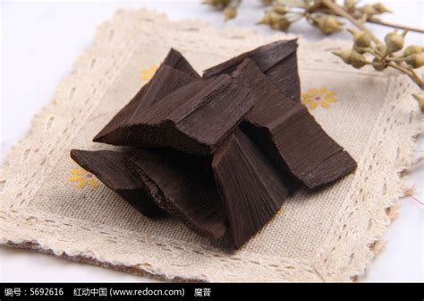 棕榈炭图片