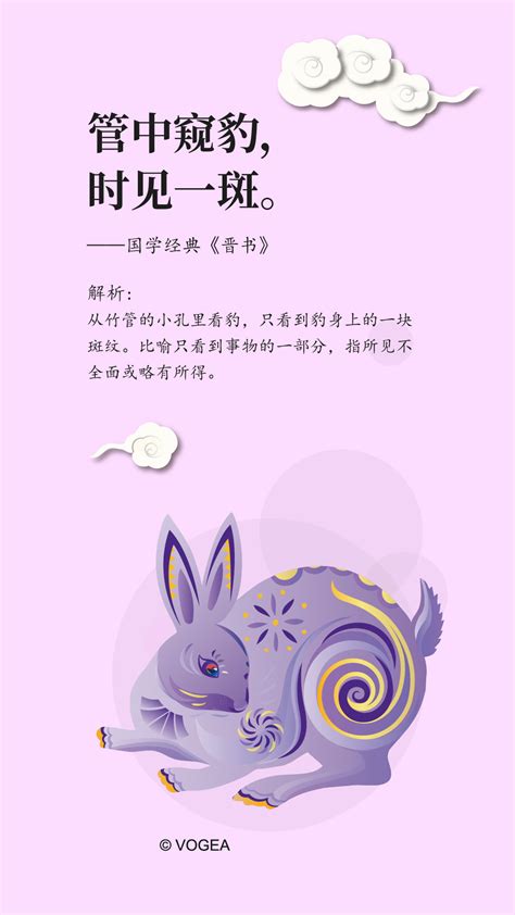 十二生肖国学系列之兔|插画|插画习作|奉全文化 - 原创作品 - 站酷 (ZCOOL)