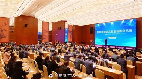 2020年12月31日，湛江市网络文化协会成立！|湛江|湛江市_新浪新闻