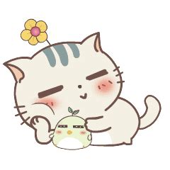贱猫图片