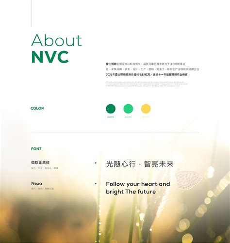 【雷士照明】NVC Lighting官网