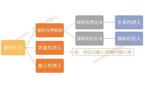 2018年中国保险个人代理人制度存在问题及对策分析（图）_观研报告网