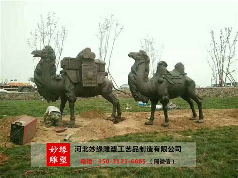 呼和浩特市人民区骆驼铜雕塑 - 河北宜鑫雕塑有限公司