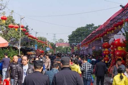 图集丨行花街啦！沙岗墟花市今日开锣_中山Plus_中山+