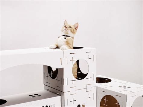 如何自制一个木质猫窝和猫爬架? - 知乎