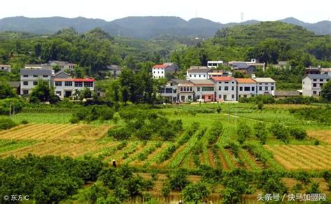 广州白山村智慧农业产业融合孵化园