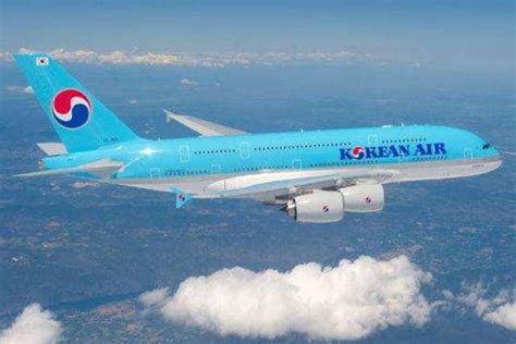 大韩航空取消“空姐”“空少”称呼，统称为“空中乘务员” - 民用航空网