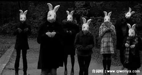 10只兔子恐怖照片原版，歌谣改编让人毛骨悚然(疑似捏造故事) — 奇闻呀