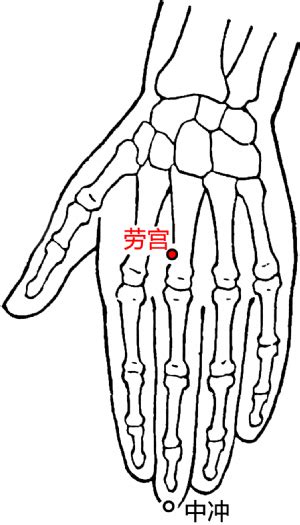 劳宫的准确位置图图片