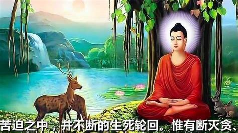 佛教的起源与发展历程_腾讯视频