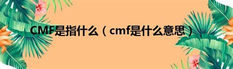 CMF是指什么（cmf是什么意思）_城市经济网