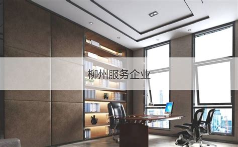柳州（国家）高新技术创业服务中心品牌设计方案一_罗朝宝设计-站酷ZCOOL