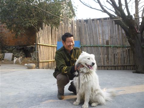 上海周边可以带宠物狗的民宿或农家乐推荐-上海周边农家乐包吃包住包接送三天两夜农家乐推荐网/上海农家乐