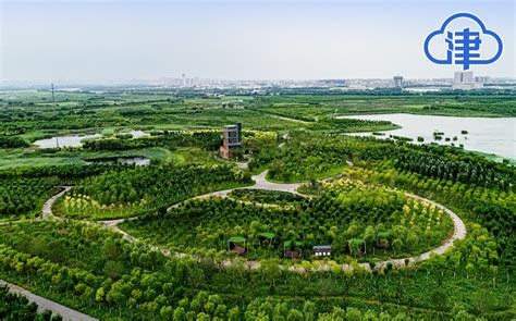 天津：津南区绿色生态屏障建设综合效益凸显-天穆网
