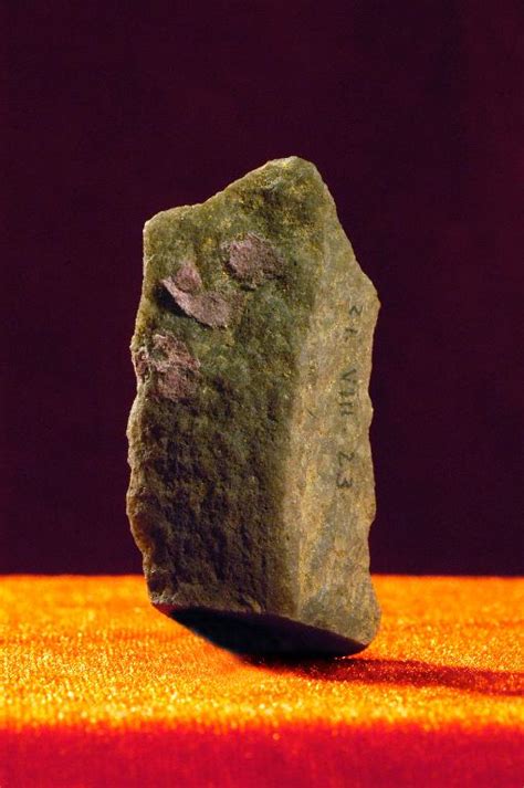 原始社会时期人类最初的主要生产工具石器