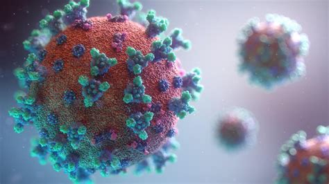 新冠病毒的进化速度-健康界