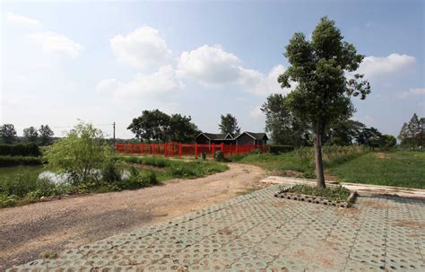 湖北省武汉市蔡甸区奓山街高湖旁300亩农场转让或合作- 聚土网