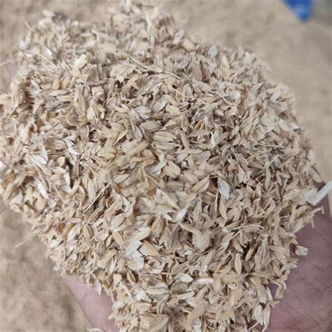 稻壳 压缩稻壳 新鲜稻壳谷壳米长直发干净新鲜干燥无杂质-阿里巴巴